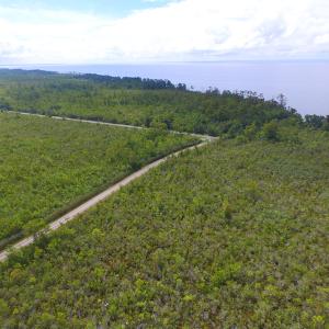 Photo #15 of SOLD property in Off Texas Road, Shiloh, NC 1,340.0 acres