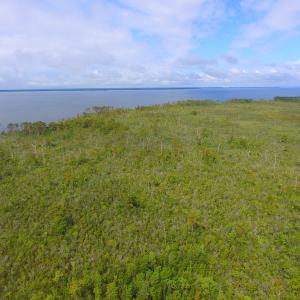Photo #16 of SOLD property in Off Texas Road, Shiloh, NC 1,340.0 acres