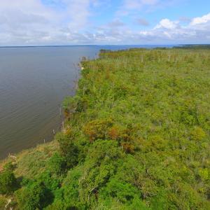 Photo #17 of SOLD property in Off Texas Road, Shiloh, NC 1,340.0 acres