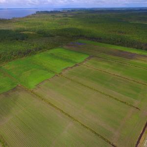 Photo #19 of SOLD property in Off Texas Road, Shiloh, NC 1,340.0 acres