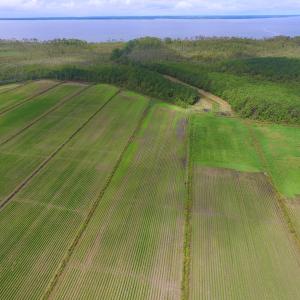 Photo #20 of SOLD property in Off Texas Road, Shiloh, NC 1,340.0 acres