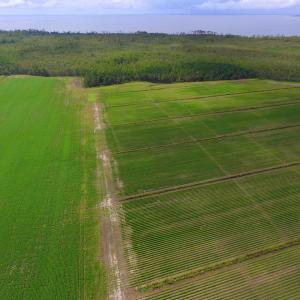 Photo #21 of SOLD property in Off Texas Road, Shiloh, NC 1,340.0 acres