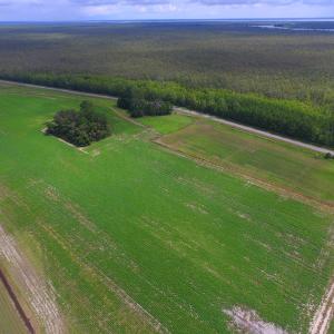 Photo #23 of SOLD property in Off Texas Road, Shiloh, NC 1,340.0 acres