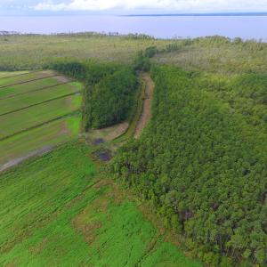 Photo #24 of SOLD property in Off Texas Road, Shiloh, NC 1,340.0 acres