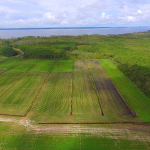 Photo #25 of SOLD property in Off Texas Road, Shiloh, NC 1,340.0 acres