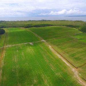 Photo #26 of SOLD property in Off Texas Road, Shiloh, NC 1,340.0 acres