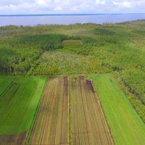 Photo #27 of SOLD property in Off Texas Road, Shiloh, NC 1,340.0 acres