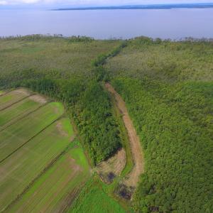 Photo #29 of SOLD property in Off Texas Road, Shiloh, NC 1,340.0 acres