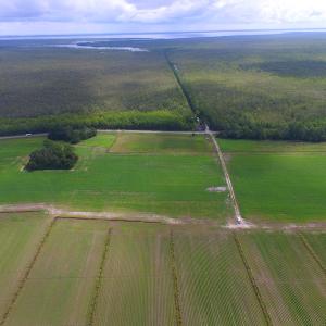 Photo #30 of SOLD property in Off Texas Road, Shiloh, NC 1,340.0 acres
