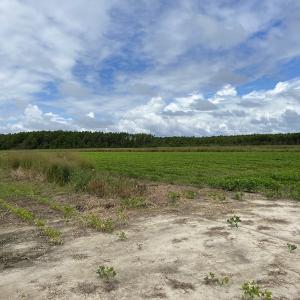 Photo #31 of SOLD property in Off Texas Road, Shiloh, NC 1,340.0 acres