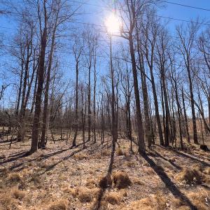 Photo #21 of SOLD property in 4835 N NC HWY 49, Burlington, NC 2.5 acres