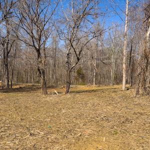Photo #31 of SOLD property in 4835 N NC HWY 49, Burlington, NC 2.5 acres