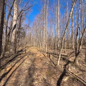 Photo #7 of SOLD property in 4835 N NC HWY 49, Burlington, NC 2.5 acres