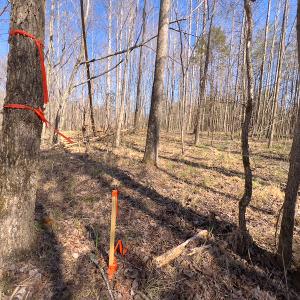 Photo #9 of SOLD property in 4835 N NC HWY 49, Burlington, NC 2.5 acres