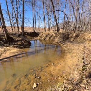 Photo #11 of SOLD property in 4835 N NC HWY 49, Burlington, NC 2.5 acres