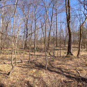 Photo #13 of SOLD property in 4835 N NC HWY 49, Burlington, NC 2.5 acres