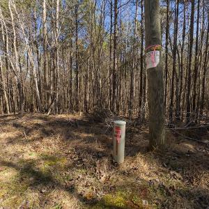 Photo #21 of SOLD property in Off Rocky Ridge Road, Oxford, NC 13.1 acres