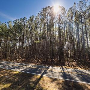 Photo #23 of SOLD property in Off Rocky Ridge Road, Oxford, NC 13.1 acres