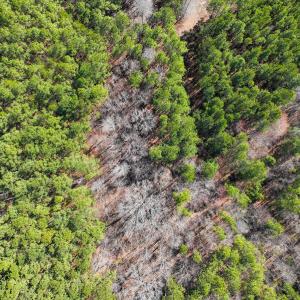 Photo #30 of SOLD property in Off Rocky Ridge Road, Oxford, NC 13.1 acres