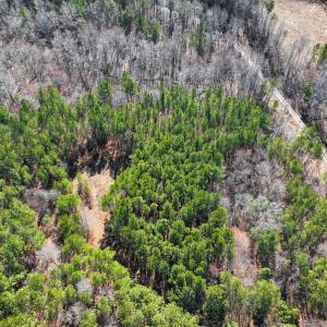 Photo #32 of SOLD property in Off Rocky Ridge Road, Oxford, NC 13.1 acres