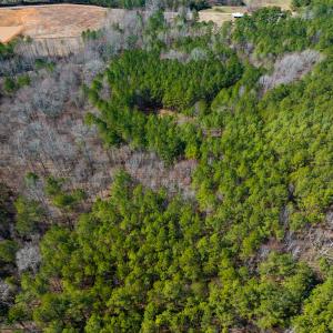 Photo #35 of SOLD property in Off Rocky Ridge Road, Oxford, NC 13.1 acres