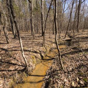 Photo #7 of SOLD property in Off Rocky Ridge Road, Oxford, NC 13.1 acres