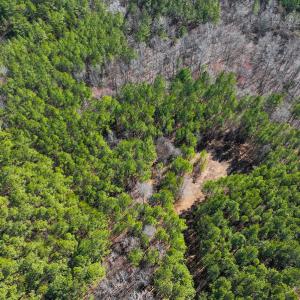 Photo #36 of SOLD property in Off Rocky Ridge Road, Oxford, NC 13.1 acres