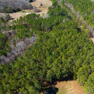 Photo #14 of SOLD property in Off Rocky Ridge Road, Oxford, NC 13.1 acres