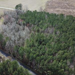 Photo #3 of SOLD property in Off White Marsh Road, Suffolk, VA 5.5 acres