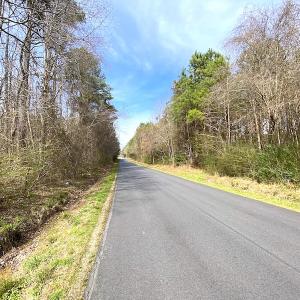 Photo #5 of SOLD property in Off White Marsh Road, Suffolk, VA 5.5 acres
