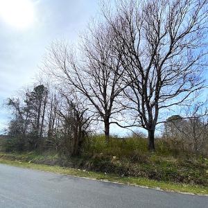 Photo #4 of SOLD property in Off White Marsh Road, Suffolk, VA 2.1 acres