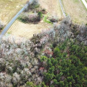 Photo #2 of SOLD property in Off White Marsh Road, Suffolk, VA 2.5 acres