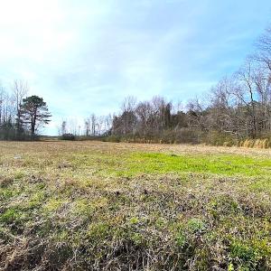 Photo #5 of SOLD property in Off White Marsh Road, Suffolk, VA 2.5 acres