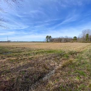 Photo #6 of SOLD property in Off White Marsh Road, Suffolk, VA 3.7 acres