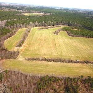 Photo #3 of SOLD property in 7245 General Mahone Hwy, Waverly, VA 62.0 acres