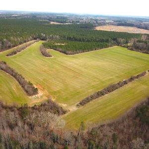 Photo #4 of SOLD property in 7245 General Mahone Hwy, Waverly, VA 62.0 acres