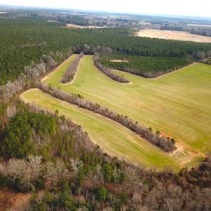 Photo #5 of SOLD property in 7245 General Mahone Hwy, Waverly, VA 62.0 acres
