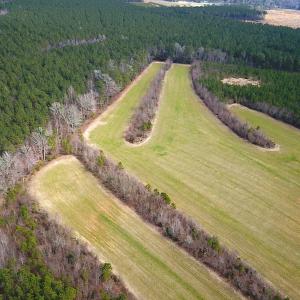 Photo #6 of SOLD property in 7245 General Mahone Hwy, Waverly, VA 62.0 acres