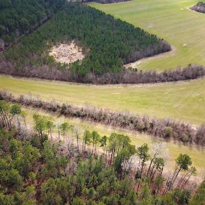 Photo #7 of SOLD property in 7245 General Mahone Hwy, Waverly, VA 62.0 acres