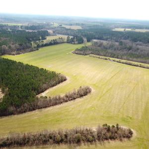 Photo #8 of SOLD property in 7245 General Mahone Hwy, Waverly, VA 62.0 acres