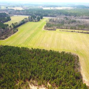 Photo #9 of SOLD property in 7245 General Mahone Hwy, Waverly, VA 62.0 acres