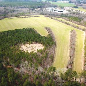 Photo #10 of SOLD property in 7245 General Mahone Hwy, Waverly, VA 62.0 acres