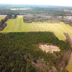 Photo #11 of SOLD property in 7245 General Mahone Hwy, Waverly, VA 62.0 acres