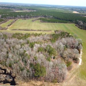 Photo #13 of SOLD property in 7245 General Mahone Hwy, Waverly, VA 62.0 acres