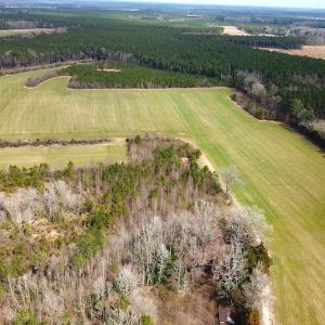 Photo #14 of SOLD property in 7245 General Mahone Hwy, Waverly, VA 62.0 acres