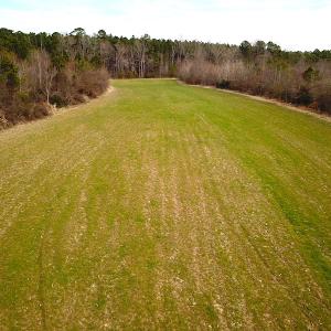 Photo #17 of SOLD property in 7245 General Mahone Hwy, Waverly, VA 62.0 acres