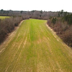 Photo #18 of SOLD property in 7245 General Mahone Hwy, Waverly, VA 62.0 acres