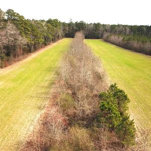 Photo #19 of SOLD property in 7245 General Mahone Hwy, Waverly, VA 62.0 acres