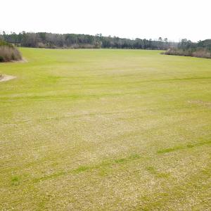 Photo #20 of SOLD property in 7245 General Mahone Hwy, Waverly, VA 62.0 acres