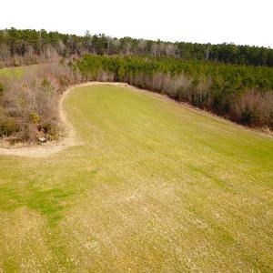 Photo #21 of SOLD property in 7245 General Mahone Hwy, Waverly, VA 62.0 acres